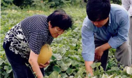 永年产业城吃瓜视频爆料,背后惊人真相曝光